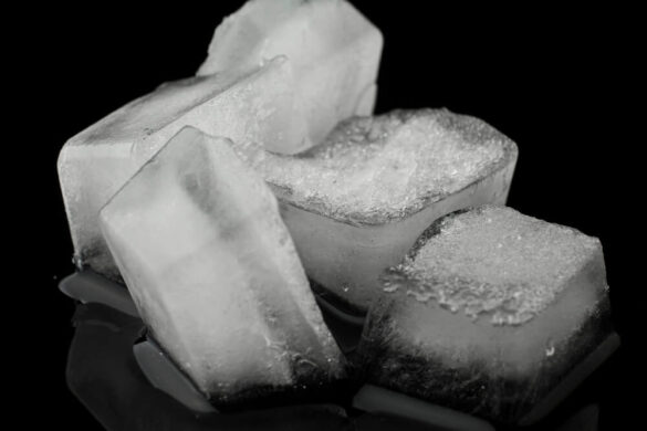 Does Publix Sell Dry Ice